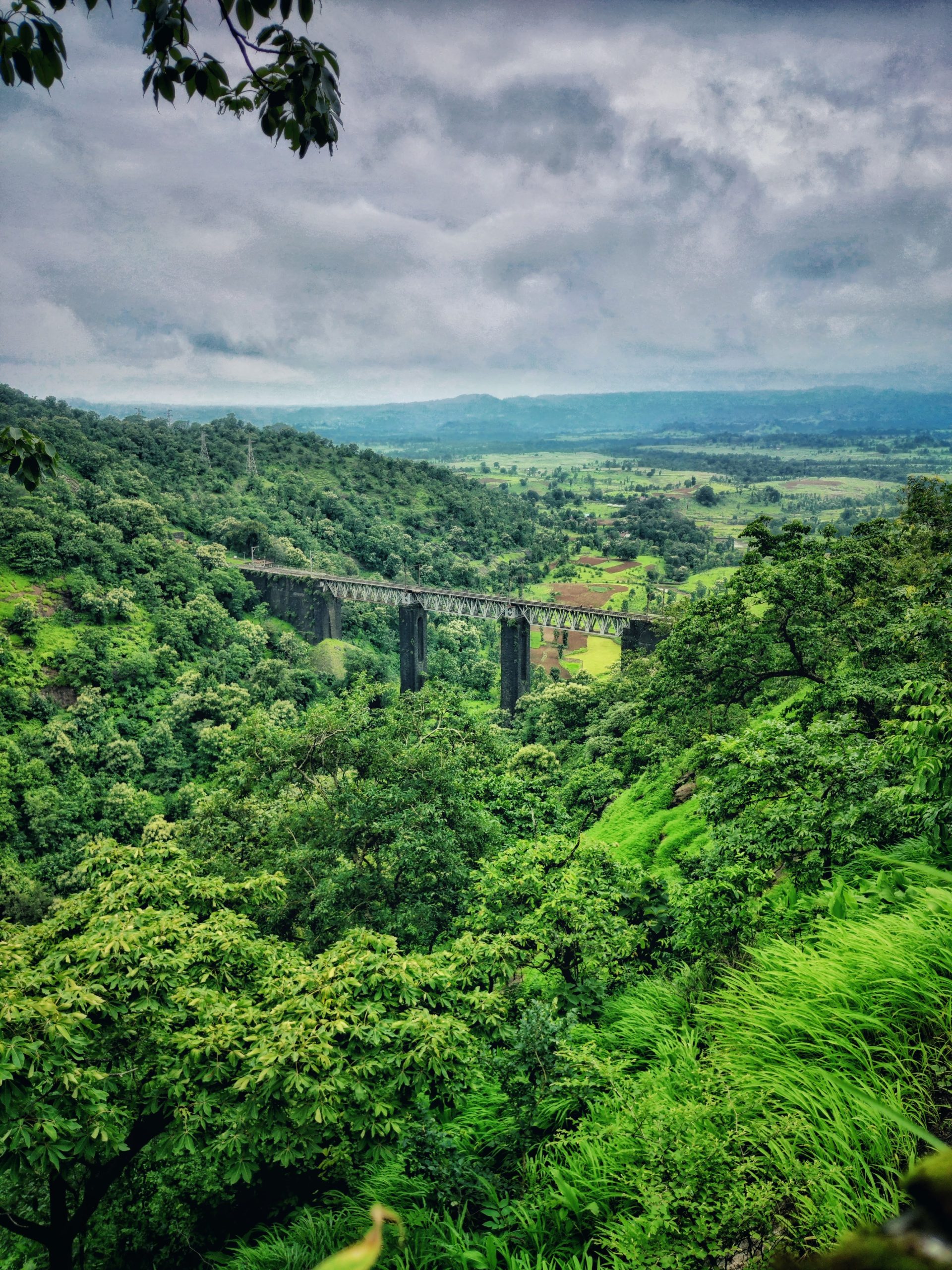 Maharashtra landscape image within state outline