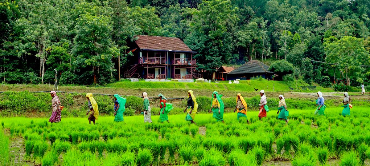 India organic farming rural experiences women farmers